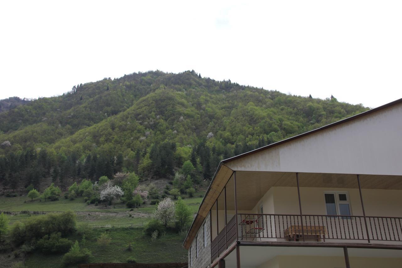 Guesthouse Qarim Mestia Kültér fotó